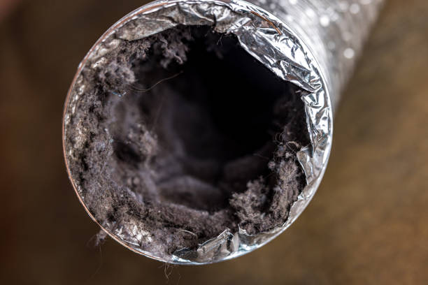Best HVAC Duct Inspection Services  in Chester Heights, PA